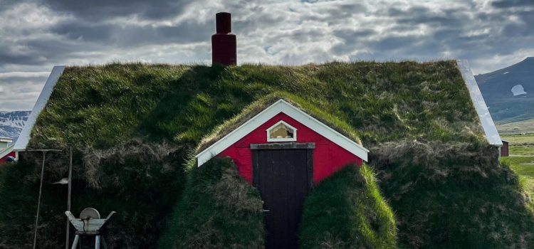 Les jardins de toit : un nouveau défi pour les paysagistes