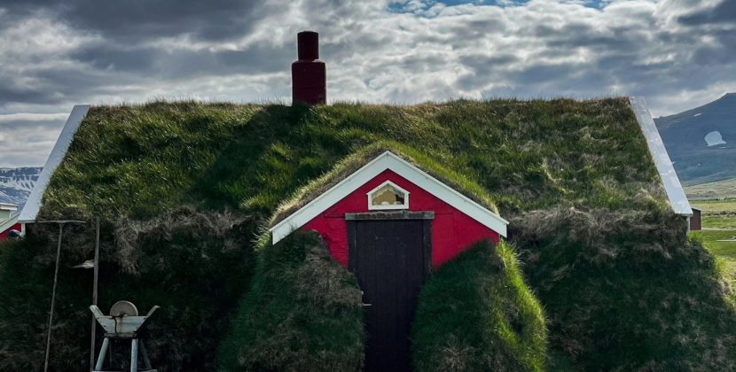 Les jardins de toit : un nouveau défi pour les paysagistes