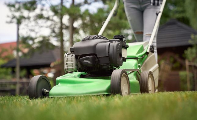 Préparer votre tondeuse à gazon pour le printemps : les points clés à vérifier