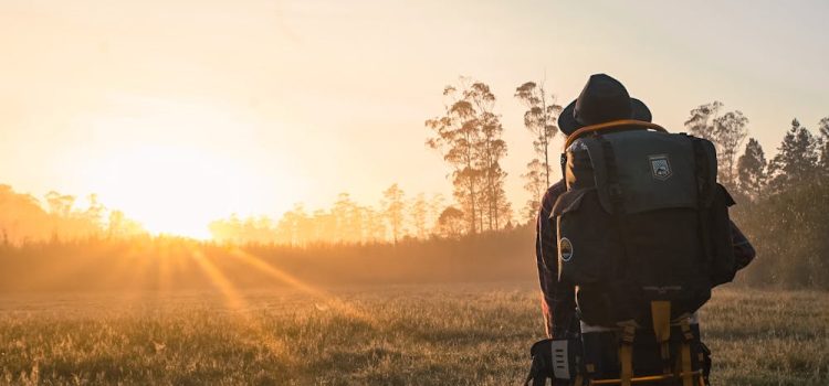 Rester frais en van cet été : guide pratique pour voyageurs nomades