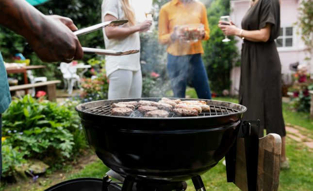 Quel bois choisir pour un brasero performant et agréable