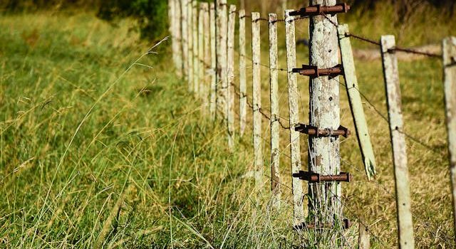 Les secrets pour trouver le meilleur clôture sur batterie